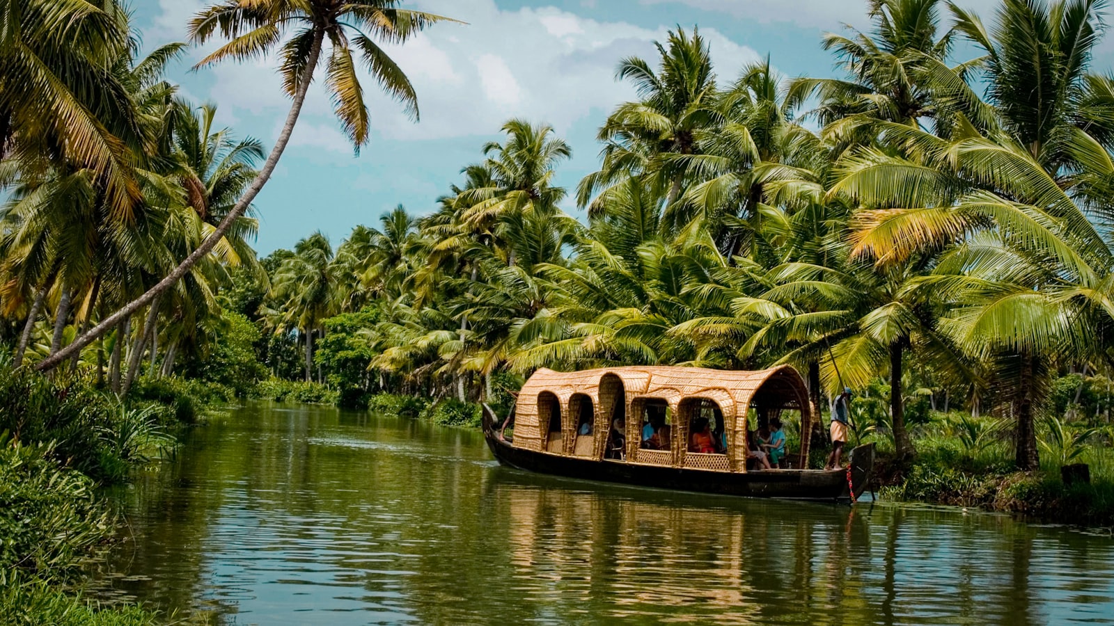 Family paddy land — a place pinned on Landly by Lakshmi, 45