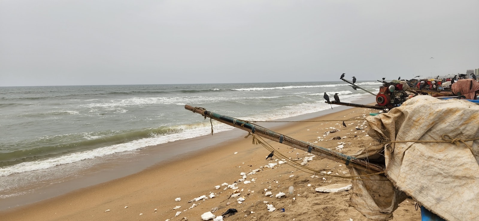 Marina Beach — a place pinned on Landly by Aishwarya, 32